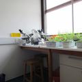 plant sciences  labs  2 of 5 