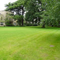 St Anne's - Quad - (1 of 4) - View from Dining Hall