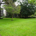 St Anne's - Quad - (3 of 4) - View Towards Rayne and Wolfson Buildings