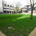 St Antony's - Quad - (2 of 11) - Level Access Grass