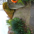 St Catherine's - Gardens and Amphitheatre - (5 of 8) - Gravel Slope by River