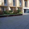 St Peter's - Bailey Quad - (4 of 4)