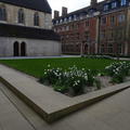 St Peter's - Quads - (1 of 11) - Linton Quad