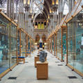 University Museum of Natural History - Gallery spaces - (1 of 5) 