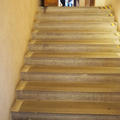 University Museum of Natural History - Stairs - (3 of 4) - South stairs, lower ground floor to ground floor