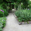 Wadham - Gardens - (2 of 10) - Barbara Naylor Garden