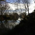 Wolfson - Gardens - (5 of 9) - Footpath By River