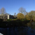 Wolfson - Gardens - (7 of 9) - Harbour And Riverside Garden From Bridge