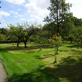 Worcester - Gardens - (5 of 12) - Orchard - Towards Terrace