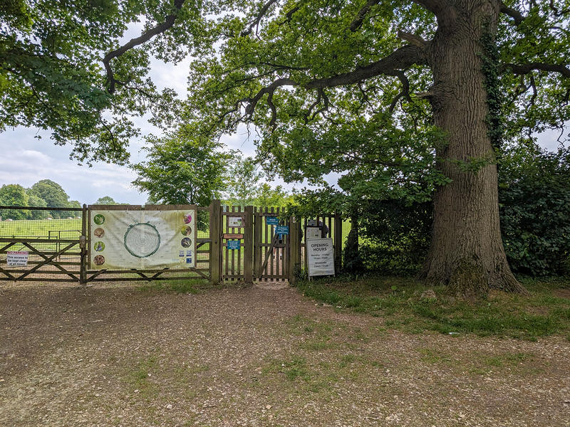 Wytham Woods - (1 of 1)